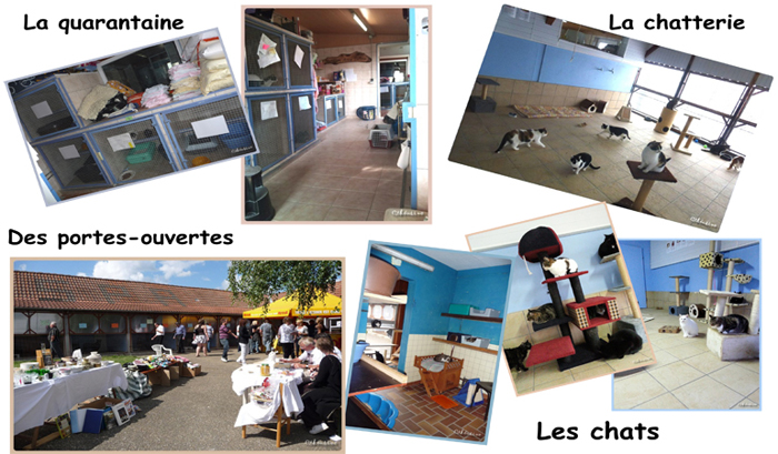 Le refuge en images