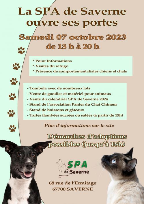 Affiche po v2