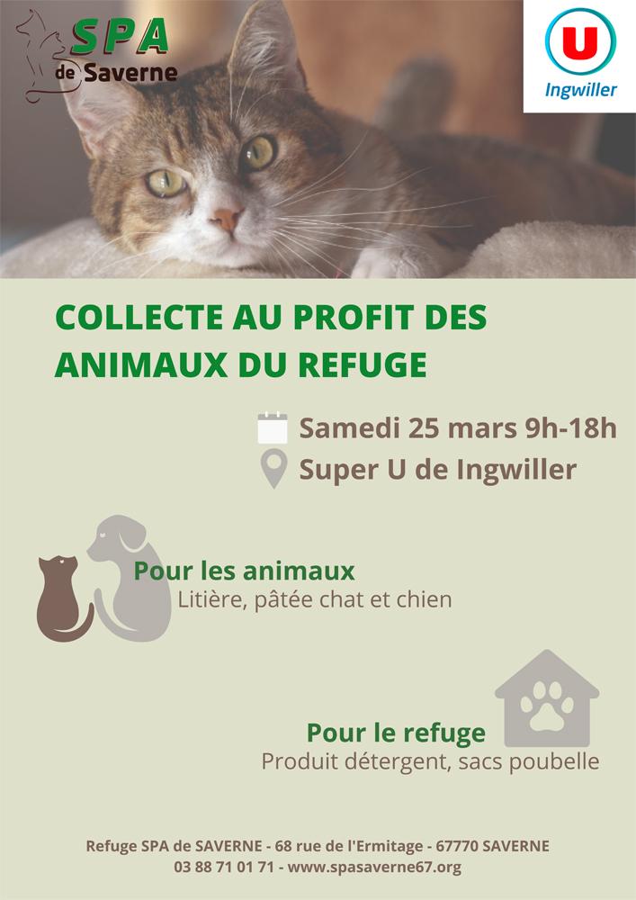 Collecte au profit des animaux du refuge 1 1