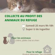 Collecte au profit des animaux du refuge 1 1