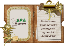 Livre dor2 spa