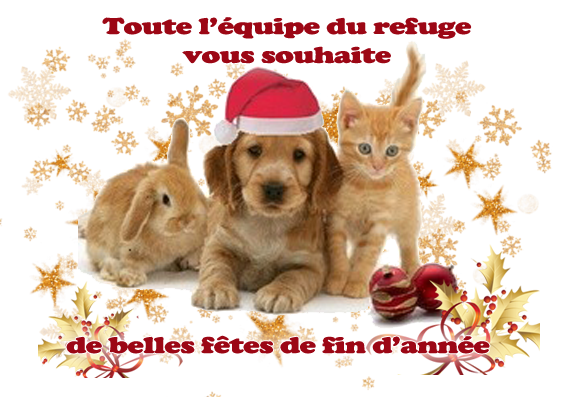 Montage joyeux noel