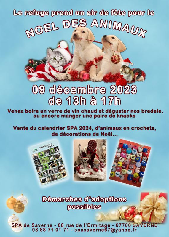 Noel des animaux 2023