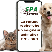 Spa saverne offre emploi 30h