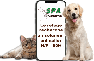 Spa saverne offre emploi 30h