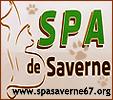 spasaverne67