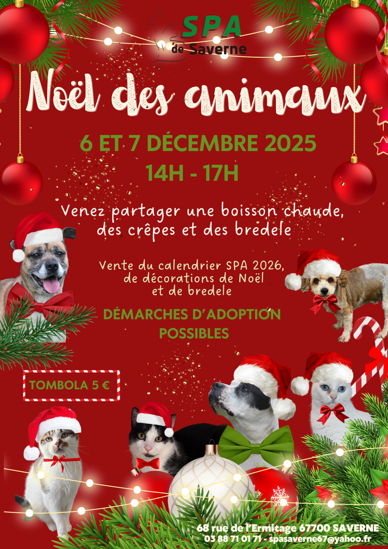 Affiche noe l des animaux 2025