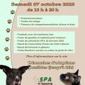 Affiche po v2
