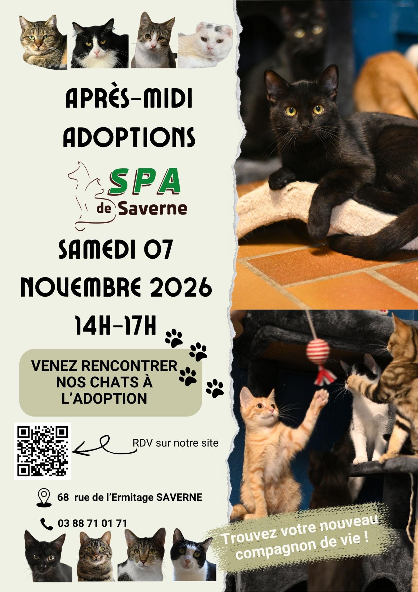 Affiche samedi 07 novembre 2026