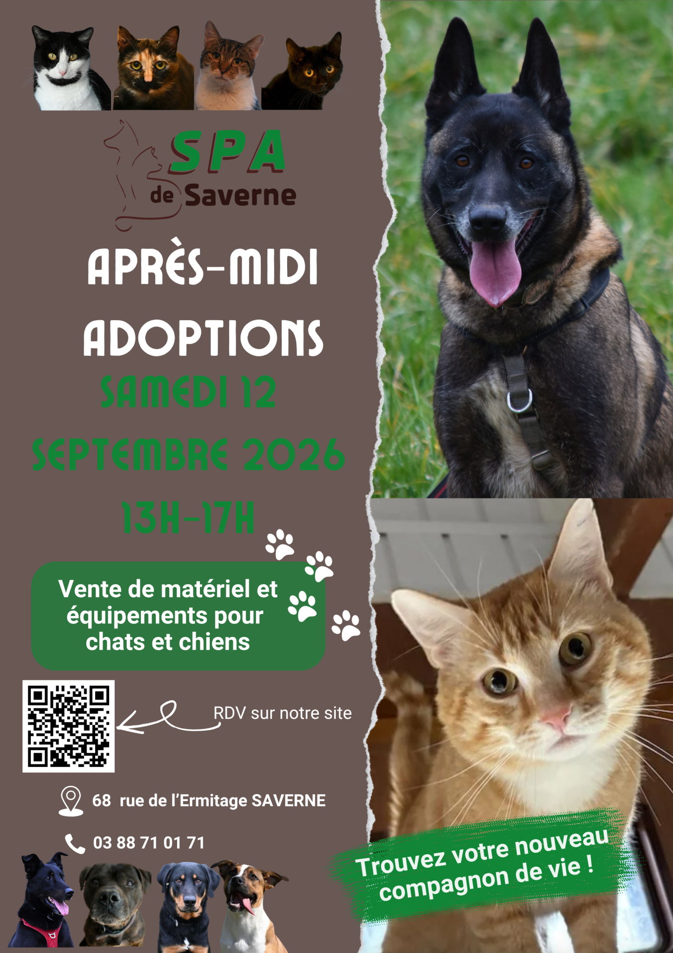 Affiche samedi 12 septembre 2026