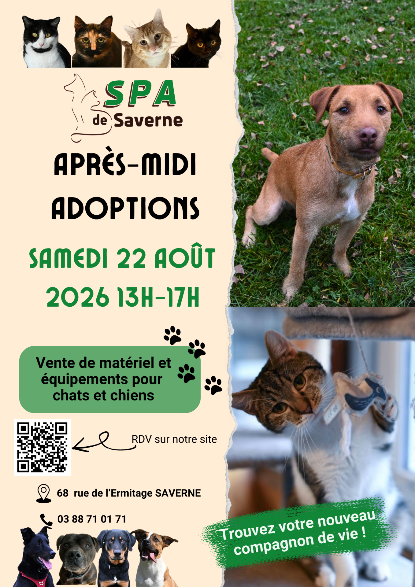 Affiche samedi 22 aout 2026