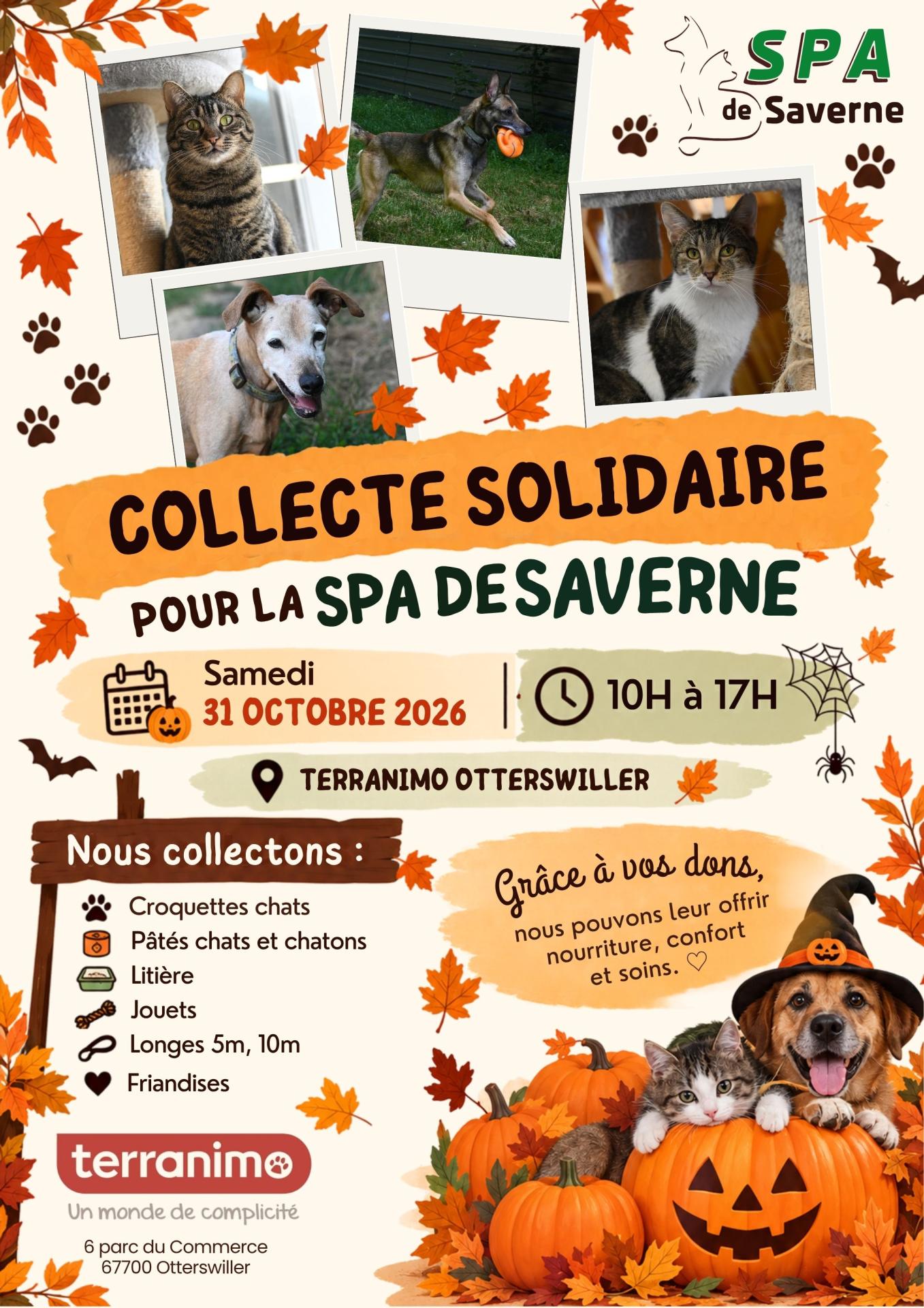 Affiche terranimo 311026