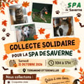 Affiche terranimo 311026