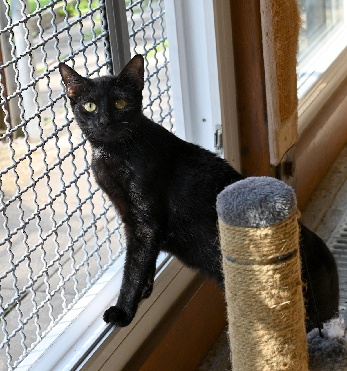 Bella 100625 2