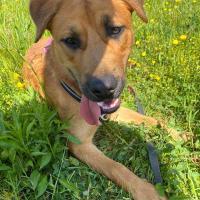 Buzz 060525 1