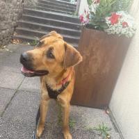 Buzz 090625 1