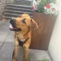 Buzz 090625 2