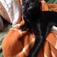 Dobby 221024 7 