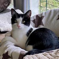 Frankie 070425 1 