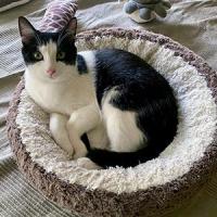 Frankie 070425 2 