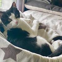 Frankie 070425 3 