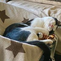 Frankie 070425 4 