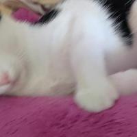 Halie 280624 1 