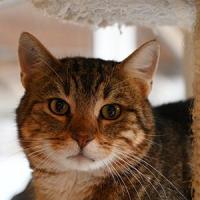 Jack 010325 2 