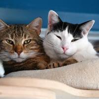 Jack et james 080425 1 1