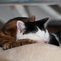 Jack et james 080425 2 1