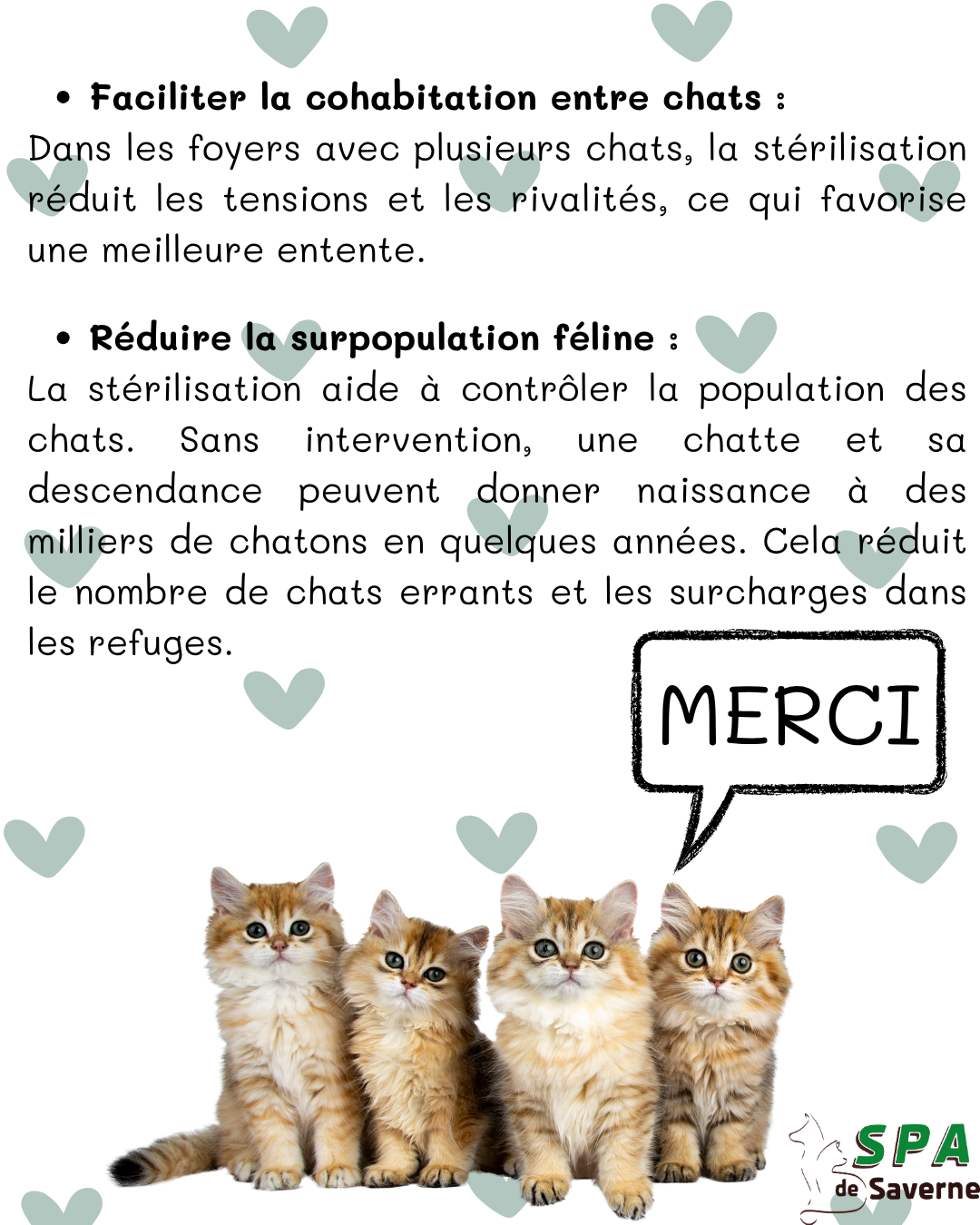 La sterilisation 3