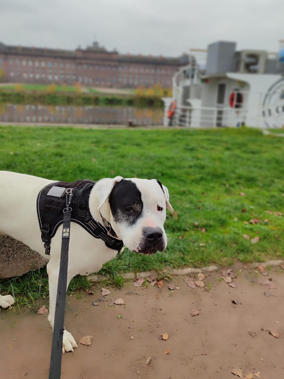 Max 