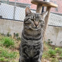Moscato 171026 2