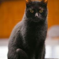 Olaf 031124 1 