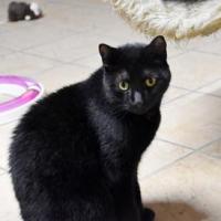Olaf 051024 2 