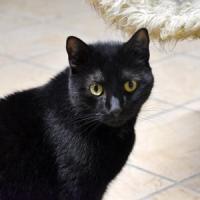 Olaf 051024 3 