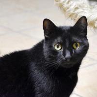 Olaf 051024 4 