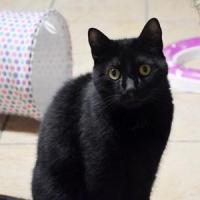 Olaf 051024 5 