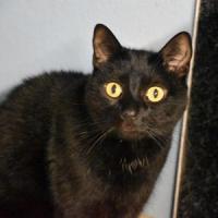 Olaf 051024 9 