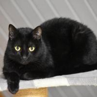 Olaf 261024 4 
