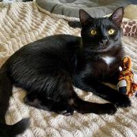 Paxie 070425 1 