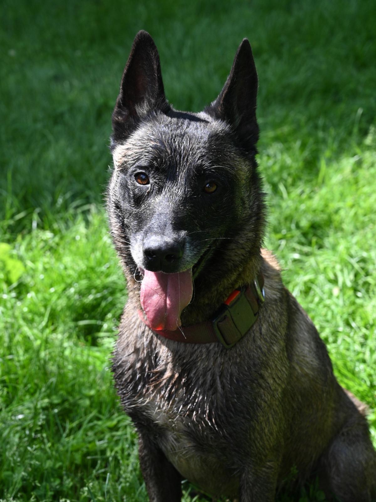 Paxton 060624 1 