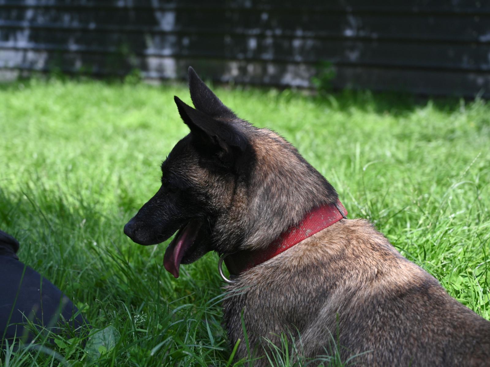 Paxton 060624 13 