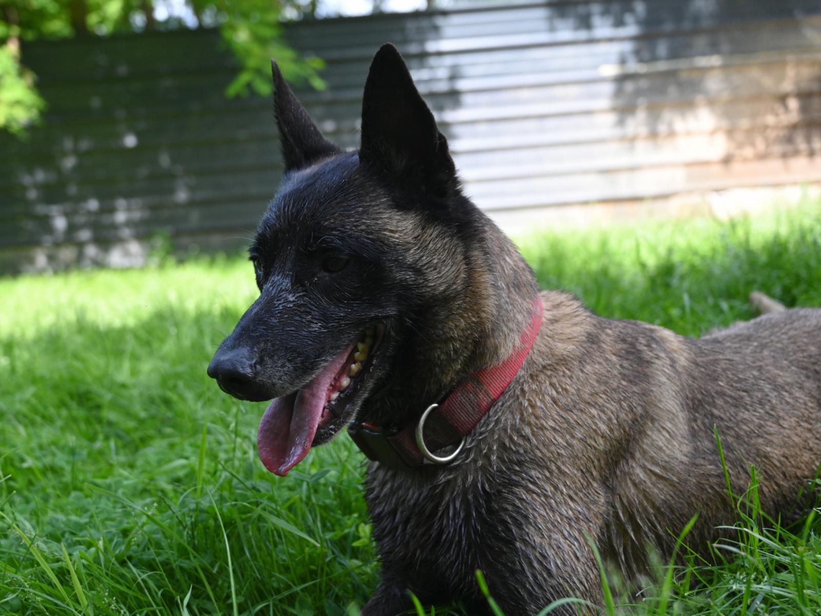 Paxton 060624 14 