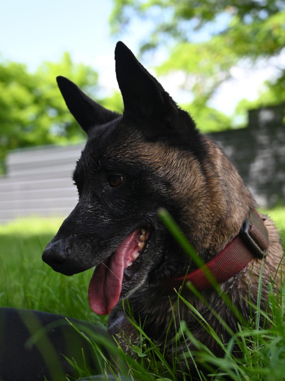 Paxton 060624 15 