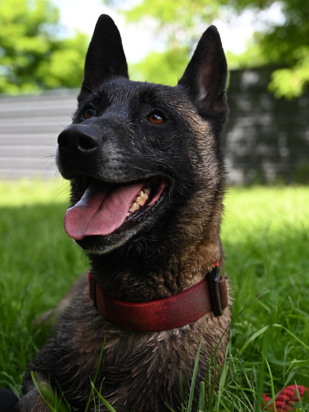 Paxton 060624 16 