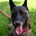 Paxton 060624 17