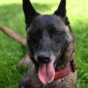 Paxton 060624 17