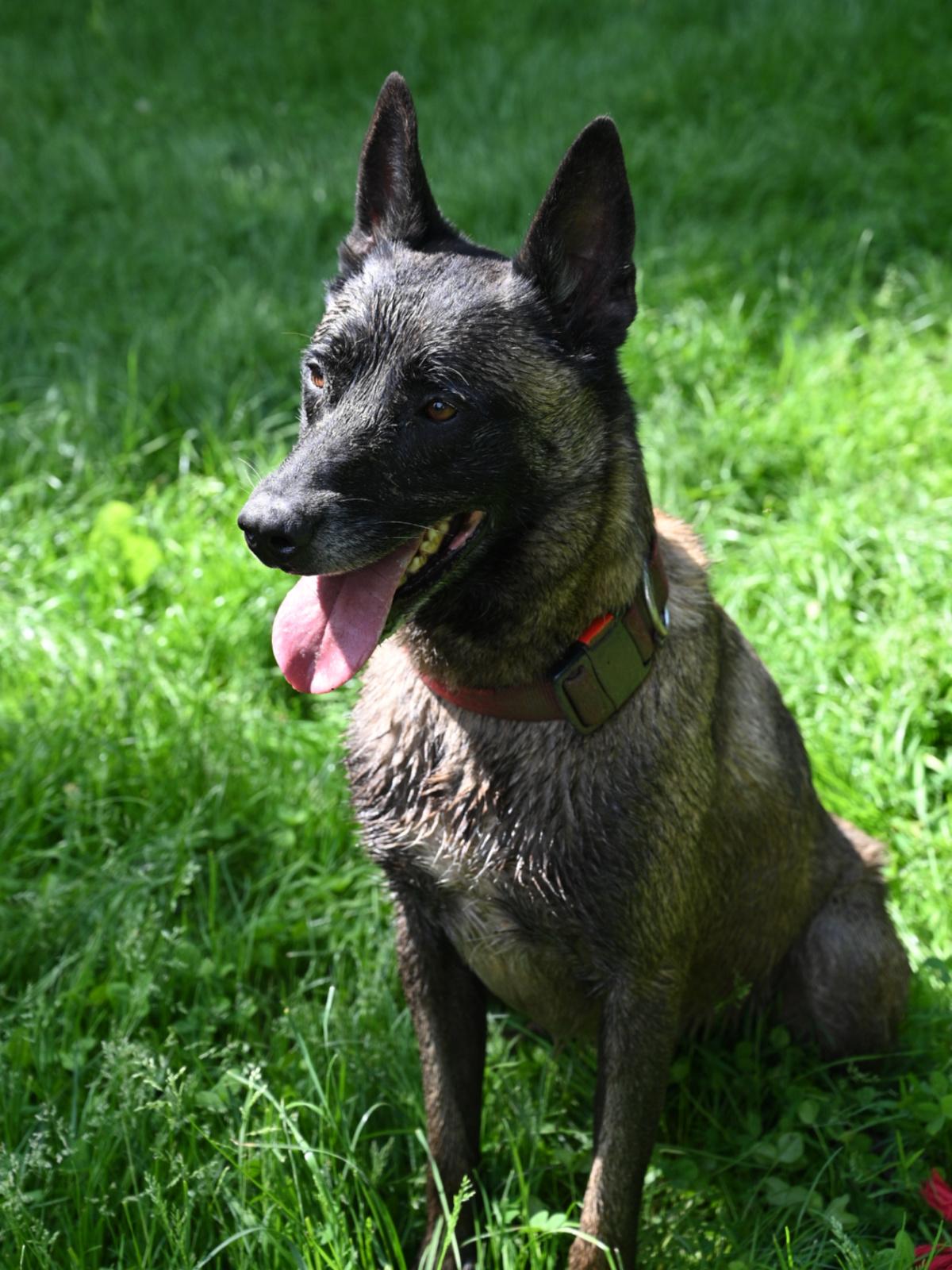 Paxton 060624 2 