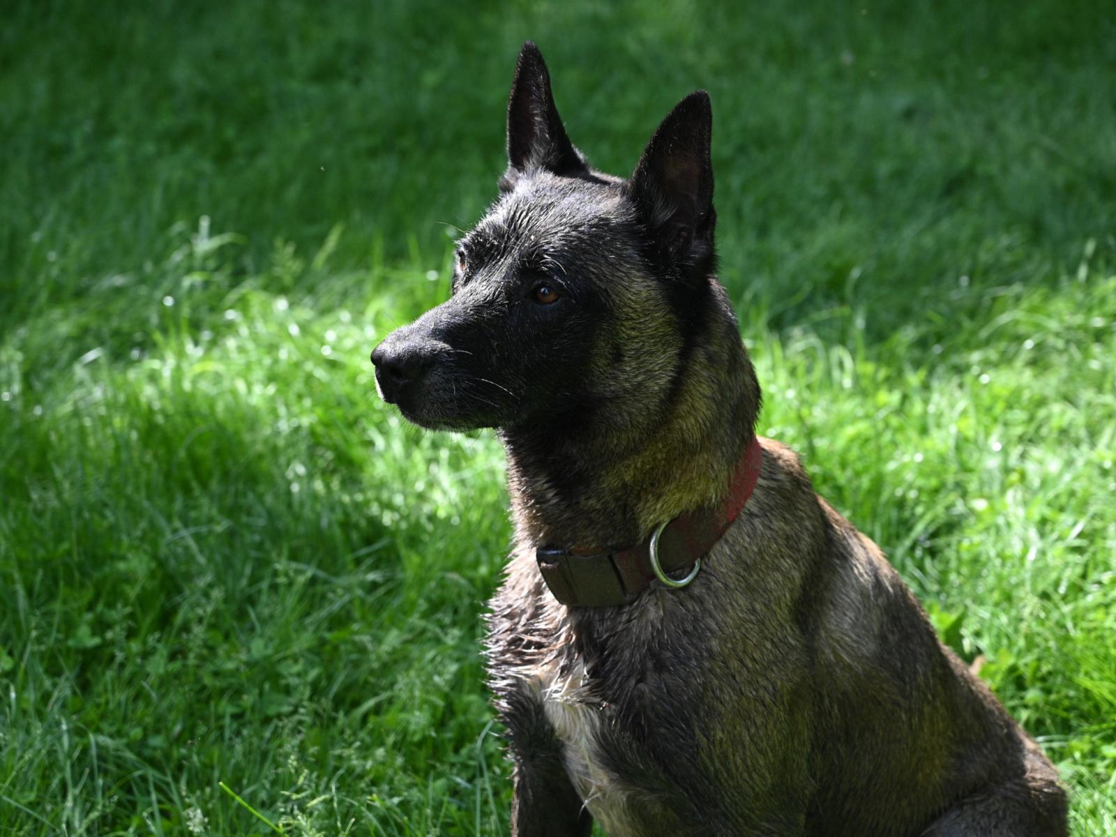 Paxton 060624 3 